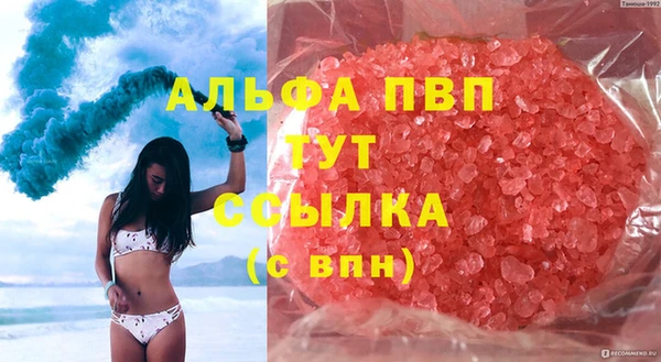 гидра Болохово