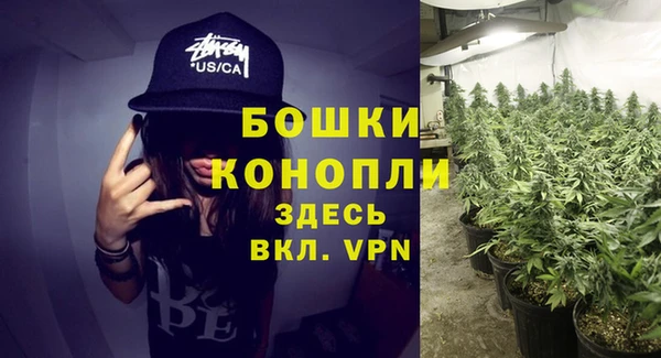 амф Новокубанск