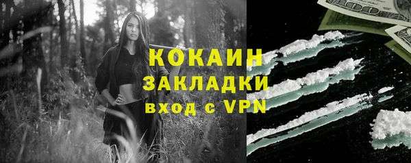 PSILOCYBIN Няндома