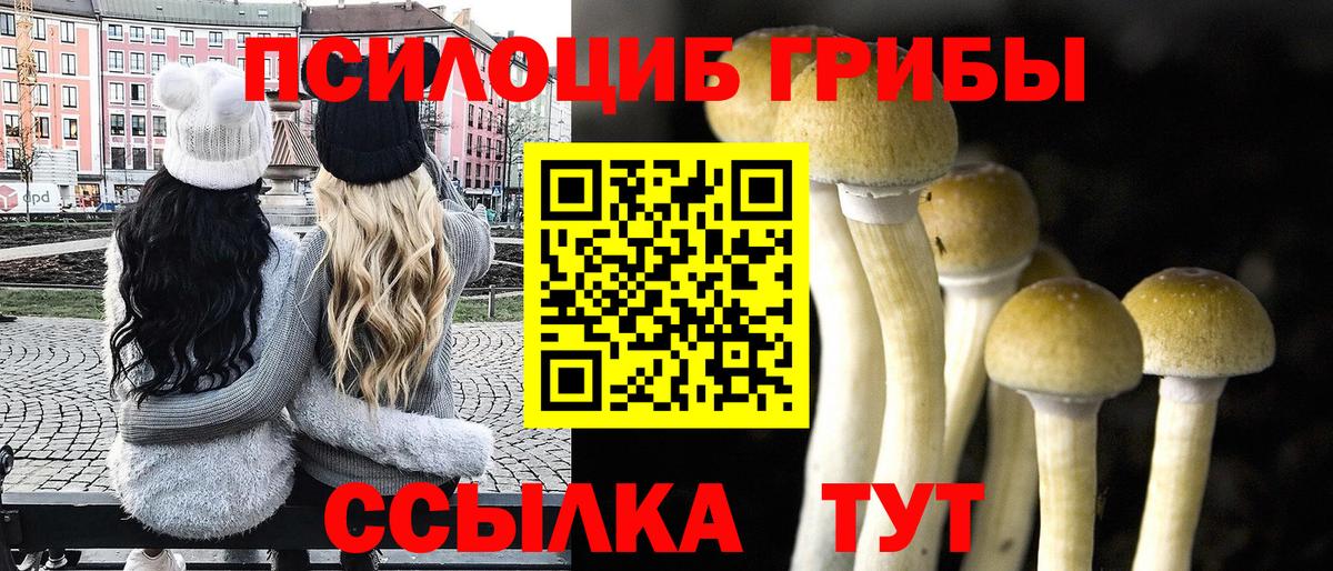 Псилоцибиновые грибы прущие грибы  Вход с VPN  Кинешма  Галлюциногенные грибы Cubensis 