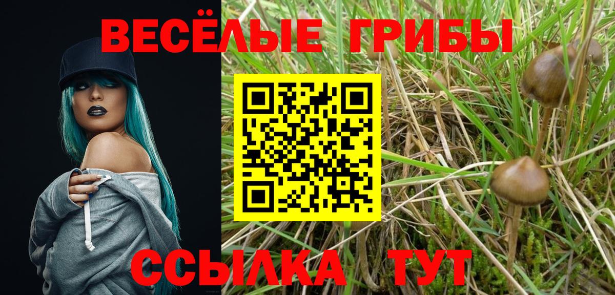 Псилоцибиновые грибы мицелий  что такое   Кинешма  Вход с VPN 