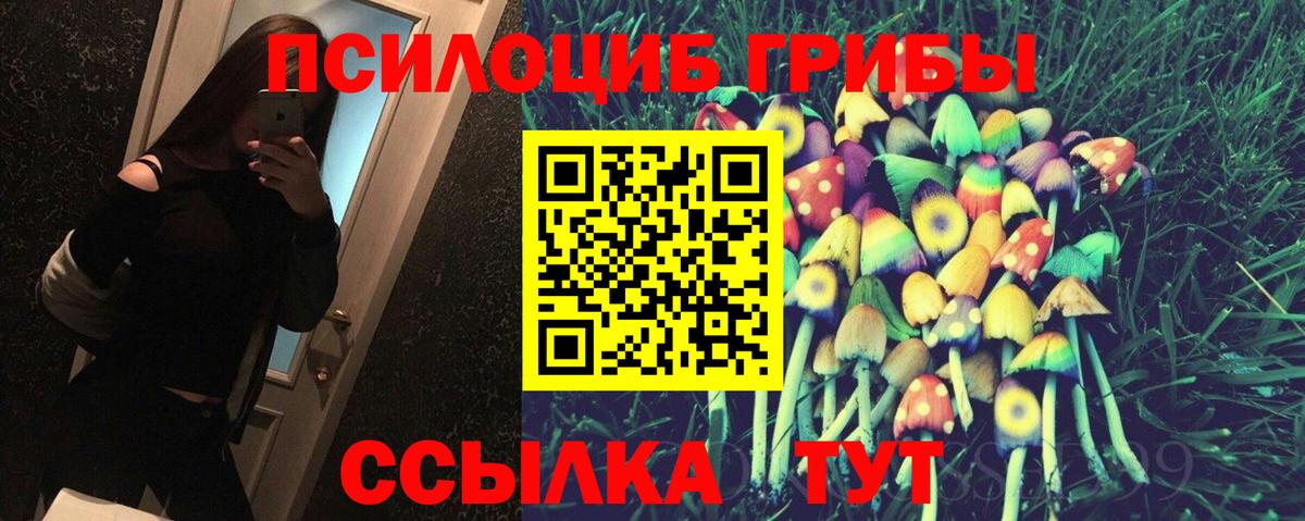 Псилоцибиновые грибы Psilocybe Кинешма