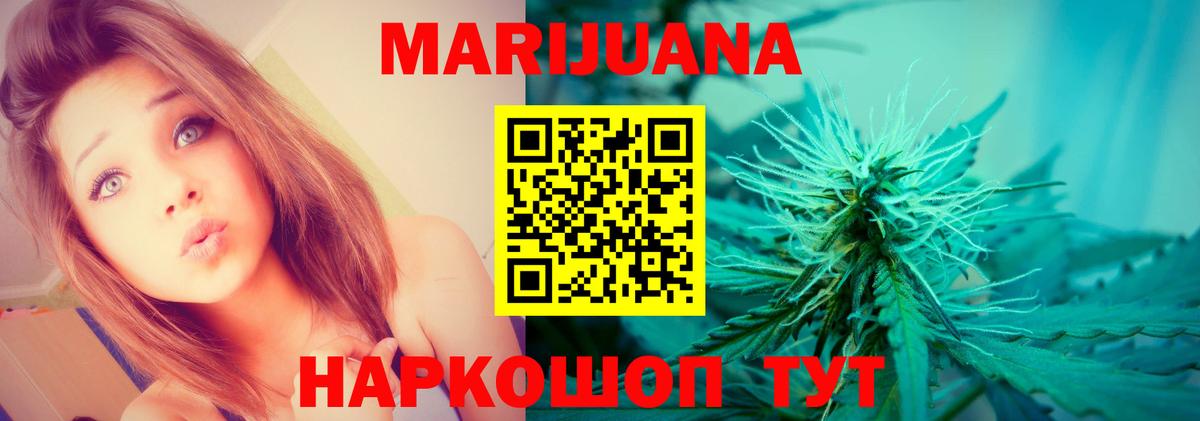 Кинешма  Бошки марихуана Bruce Banner  Канабис планчик  Вход с VPN  Конопля сатива 